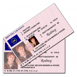 Rodney Trotter Novelty Driving Licence - Only Fools and Horses 