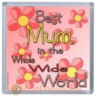 Best Mum in the Whole Wide World Coaster