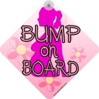 Bump on Board Modern Style Novelty Car Window Sign