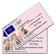 Del Boy Trotter Novelty Driving Licence - Only Fools and Horses